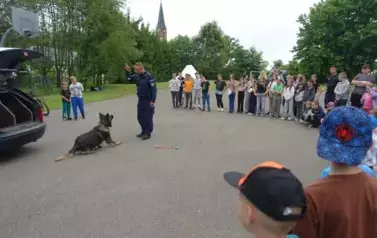 pokaz sztuczek psa policyjnego