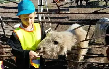 chłopiec karmiący puchate zwierzątko
