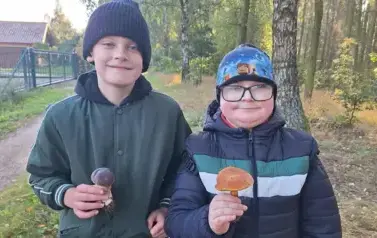 dw&oacute;jka chłopc&oacute;w prezentująca grzyby, kt&oacute;re znaleźli w lesie