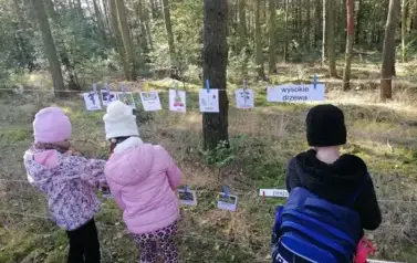 dzieci wykonujący zadanie w lesie