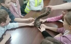 uczniowie dotykający węża
